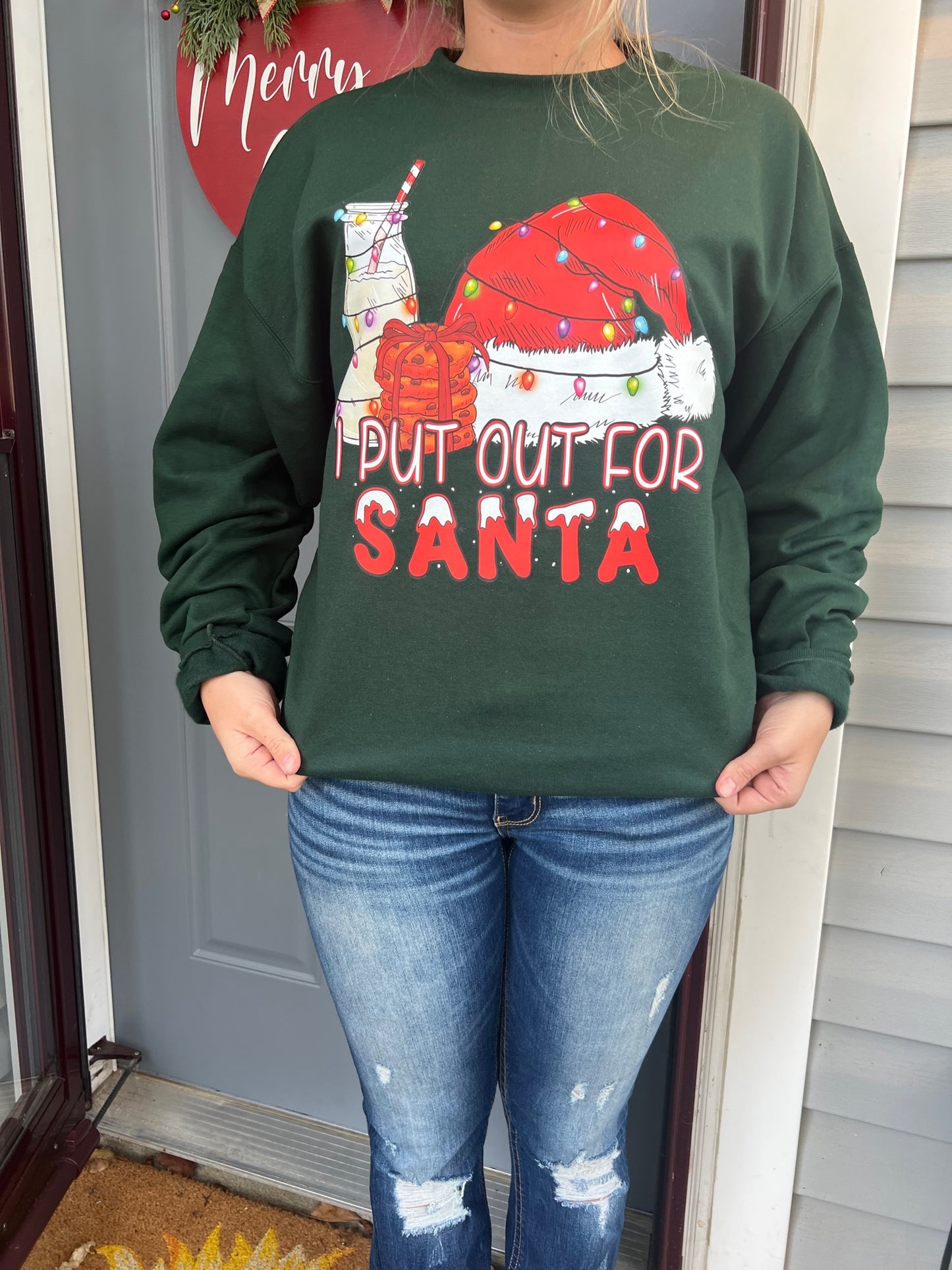 I Put Out For Santa Pullover - Willow Love Bug Designs 